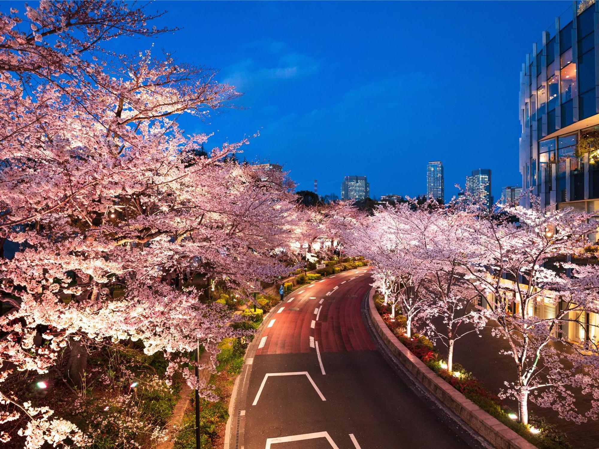 Mimaru Tokyo Akasaka Hotel Ngoại thất bức ảnh